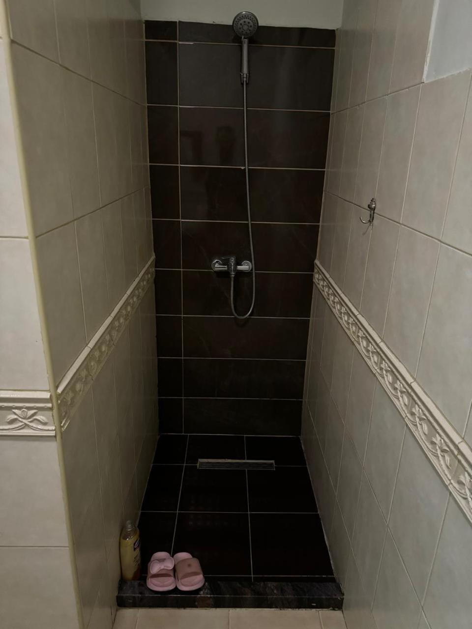 Urban Oasis 3 * Tirana